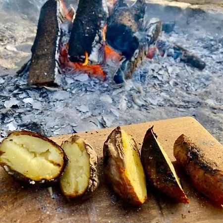 Guest house W Dolinie Tylicza