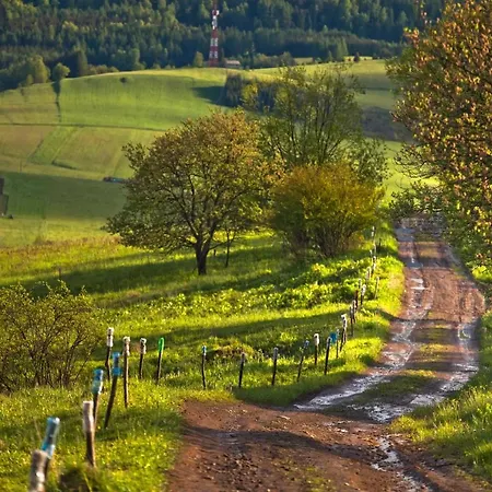 Guest house W Dolinie Tylicza 3*