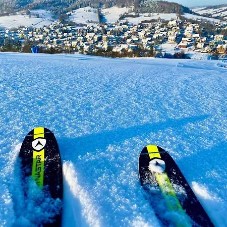 Gæstehus W Dolinie Tylicza