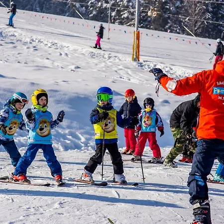 W Dolinie Tylicza & Wellness -gabinet Masazu, Saunarium-plac Zabaw, Rowery Elektryczne, Animacje Dla Dzieci Affittacamere Krynica-Zdrój