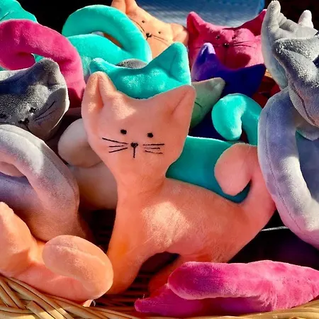 W Dolinie Tylicza Gæstehus