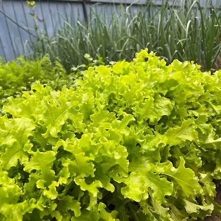 Guest house W Dolinie Tylicza