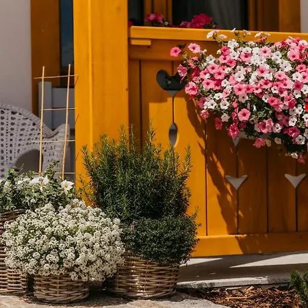 Gæstehus W Dolinie Tylicza