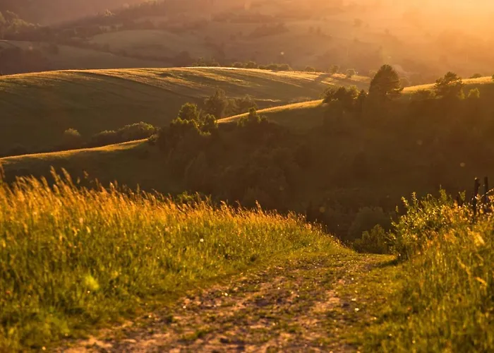 W Dolinie Tylicza 3* クリニツァ・ズドルイ