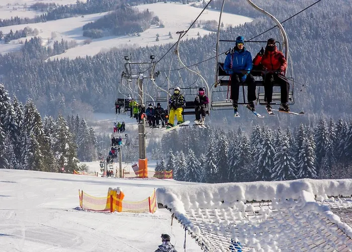 W Dolinie Tylicza 3* クリニツァ・ズドルイ