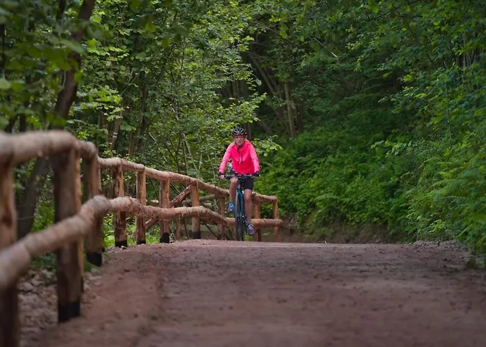 ゲストハウス W Dolinie Tylicza 3*