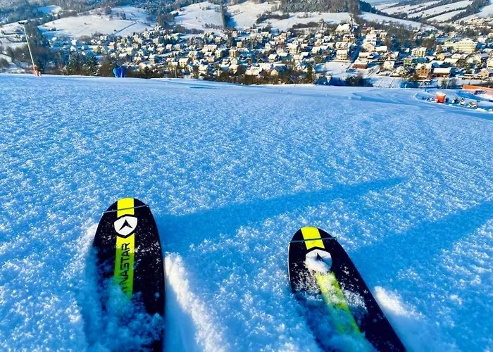 ゲストハウス W Dolinie Tylicza