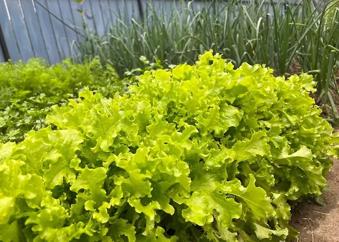 ゲストハウス W Dolinie Tylicza