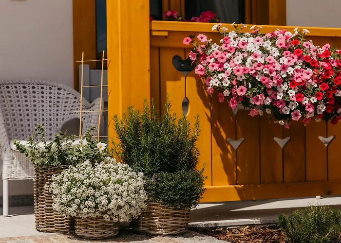 ゲストハウス W Dolinie Tylicza